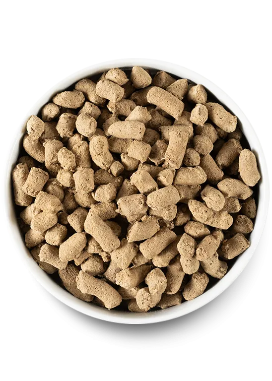Pasture-raised Lamb Freeze Dried Raw Dog Food