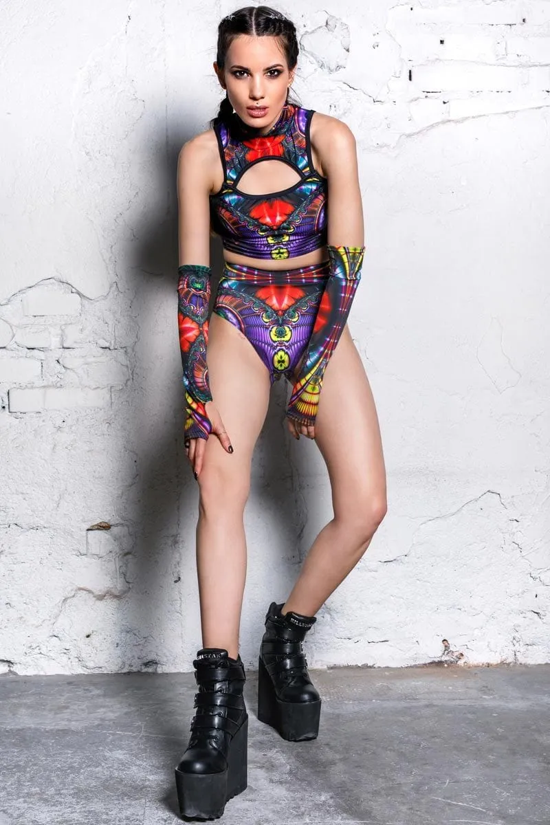 Twilight Butterfly Crop Top