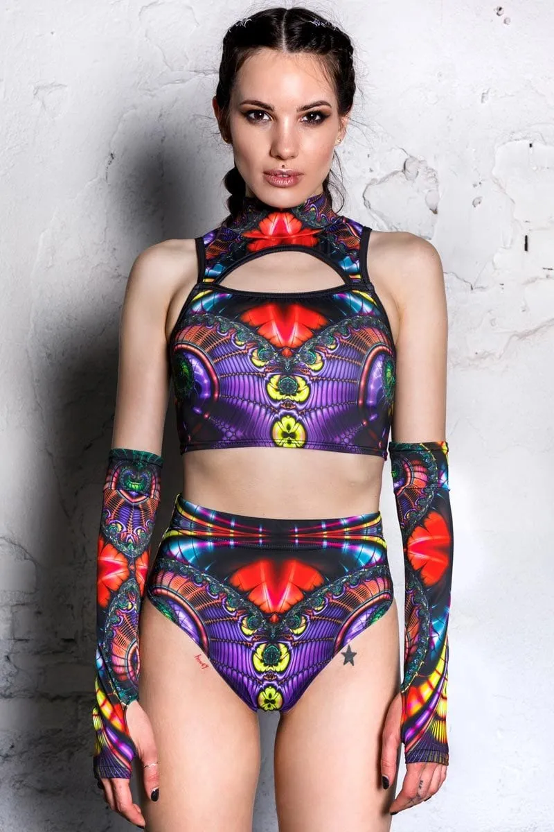 Twilight Butterfly Crop Top