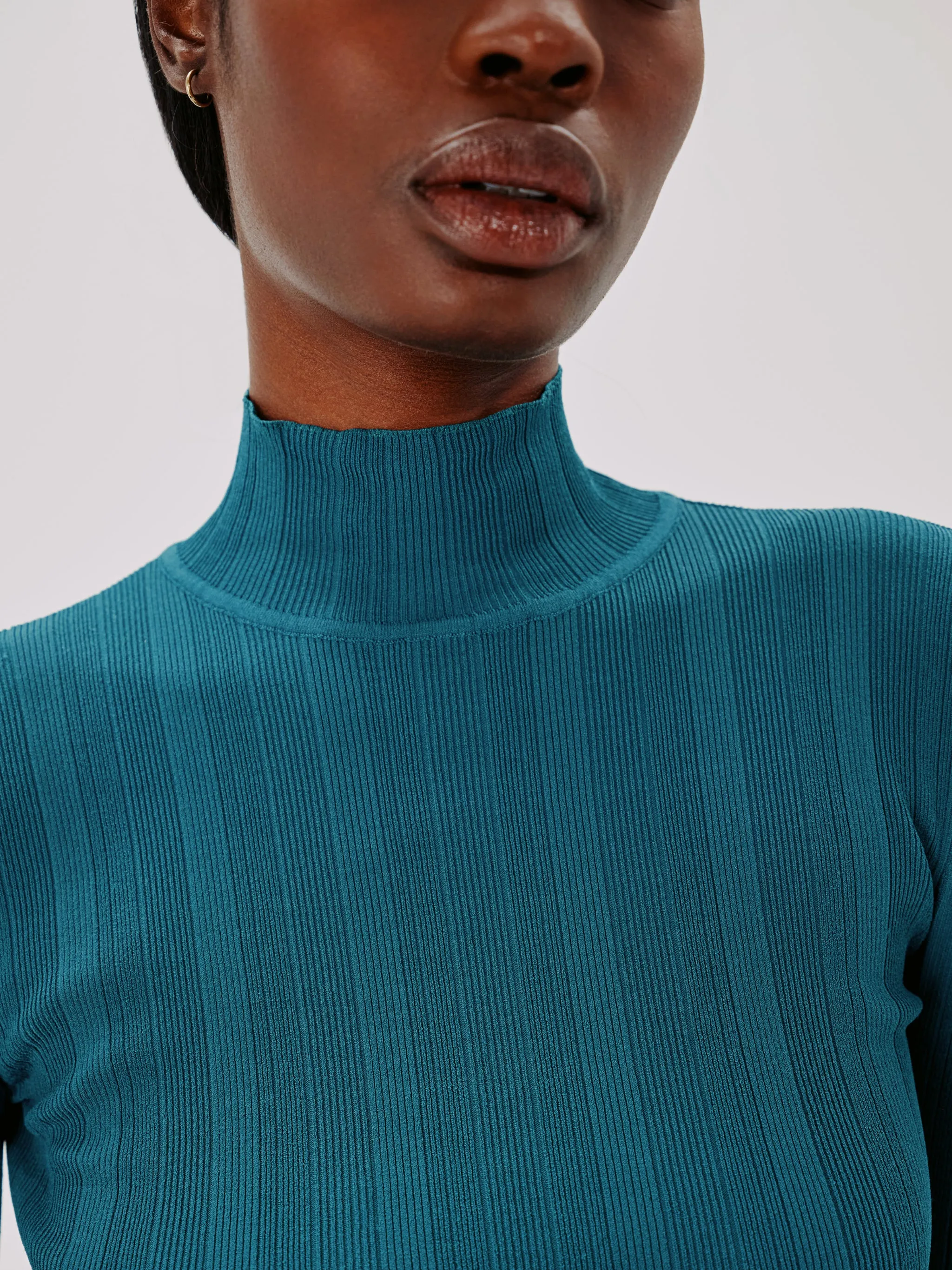 Variegated Rib Turtleneck